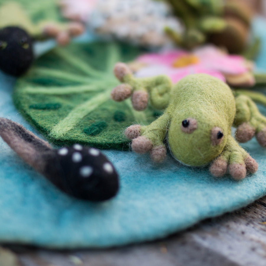 Frog Life Cycle Felt Friends