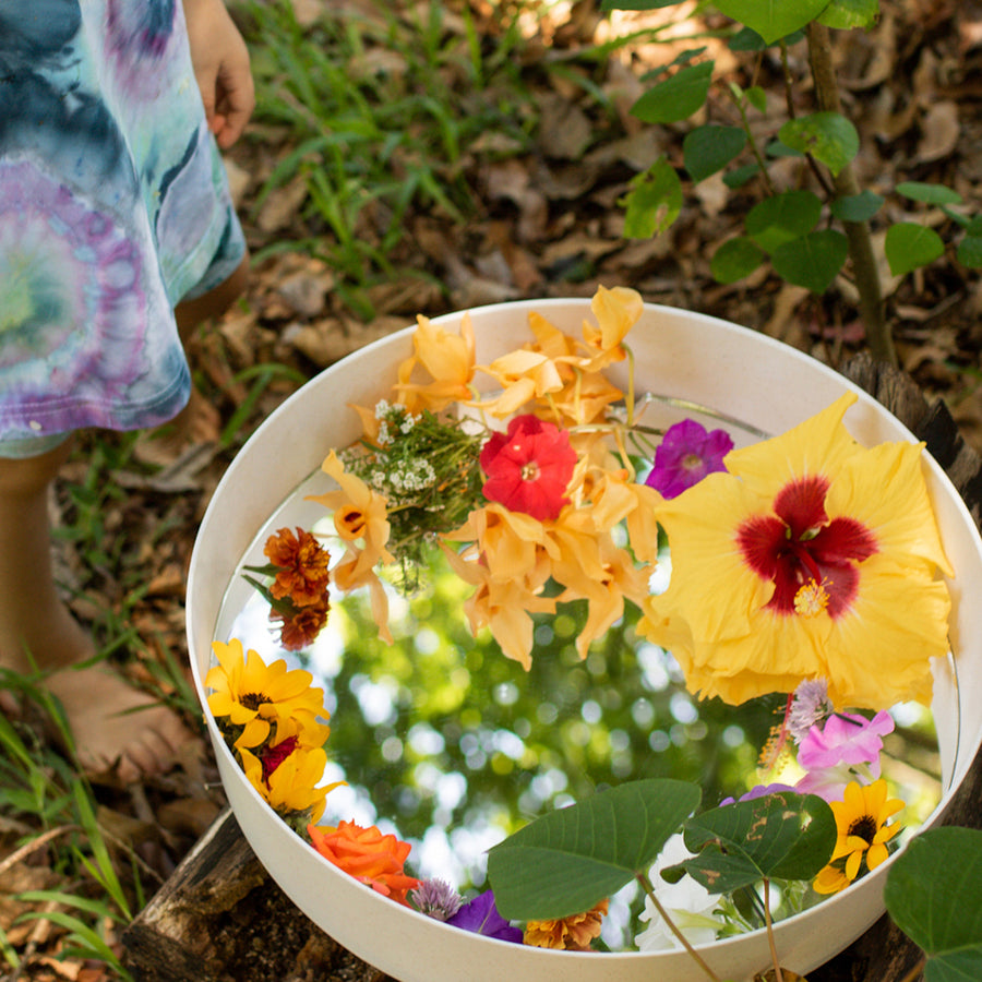 Reflective Play Mirror Inlay