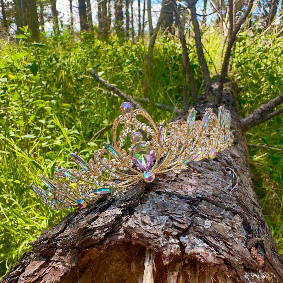 Princess Pixiepop's Tiara